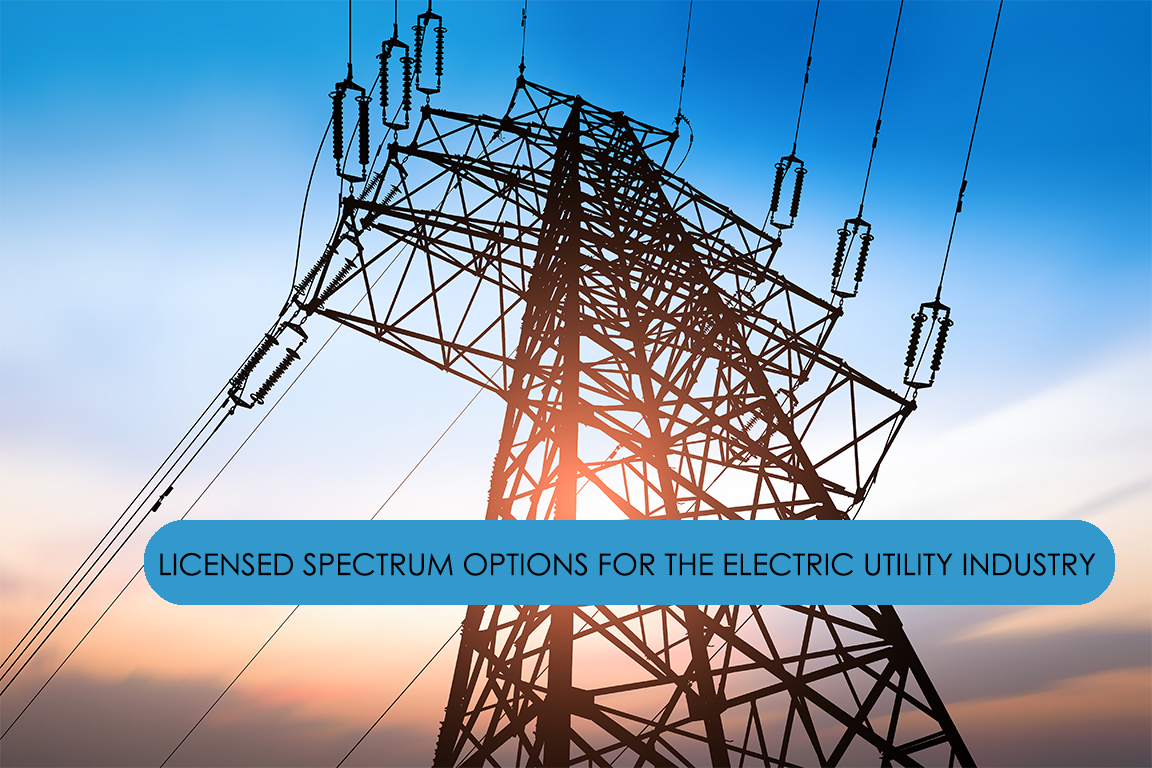 Licensed Spectrum Options for the Electric Utility Industry